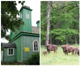 Najciekawsze atrakcje turystyczne w Podlaskiem według National Geographic