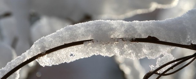 Rekord zimna padł dziś w Białymstoku