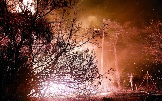 Dwa zastępy PSP z toruńskiej Jednostki Ratowniczo-Gaśniczej w Toruniu gasiły pożar drewnianej wiaty przy ulicy Wschodniej