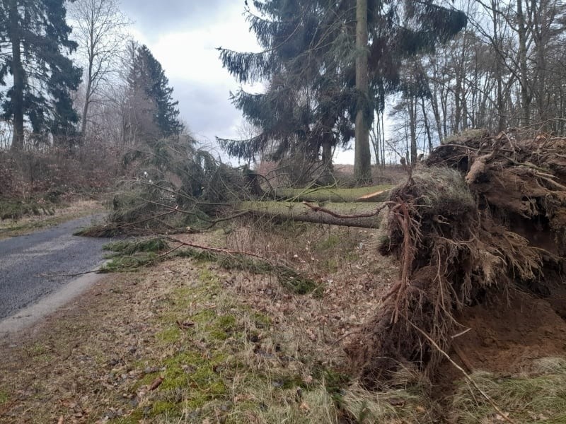 Strażacy i służby energetyczne w naszym regionie mają wiele...