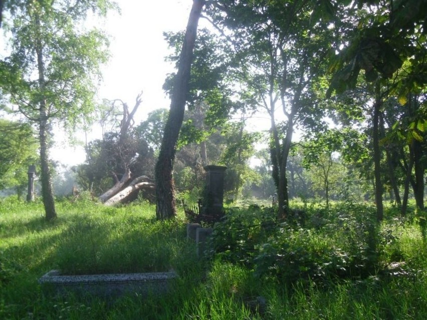 Porządkowanie zrujnowanego cmentarza w Ciechocinku [zdjęcia]