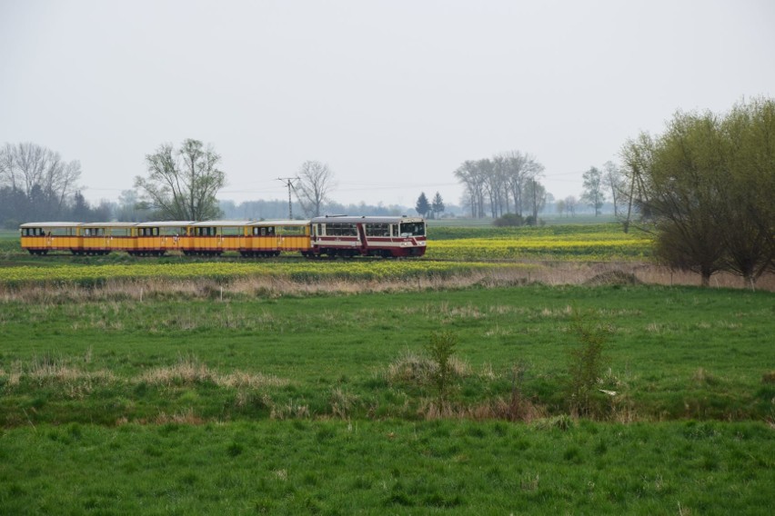 Żuławska Kolej Dojazdowa kursuje od 1.05.2020 r.