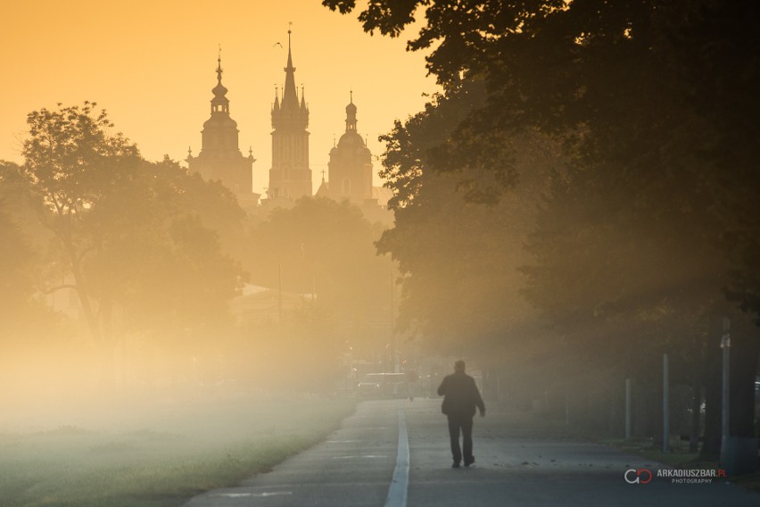 Sierpniowe mgły na krakowskich Błoniach zapowiadają nadchodzącą jesień? Centrum miasta, a klimat jak na błogiej, mazurskiej wsi!