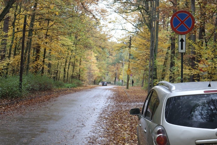 Parking w Arturówku w Lesie Łagiewnickim w Łodzi będzie płatny całą dobę! Niezależnie od czasu zapłacimy jedną kwotę