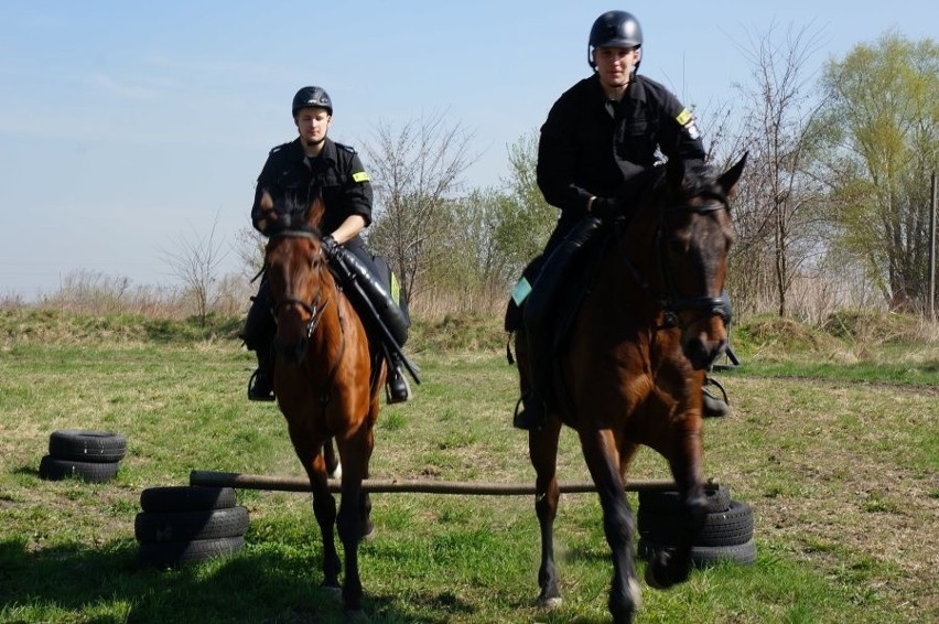 Kolejni policjanci konni zdali egzamin.