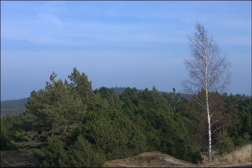 Widok z tarasu widokowego w Czołpinie