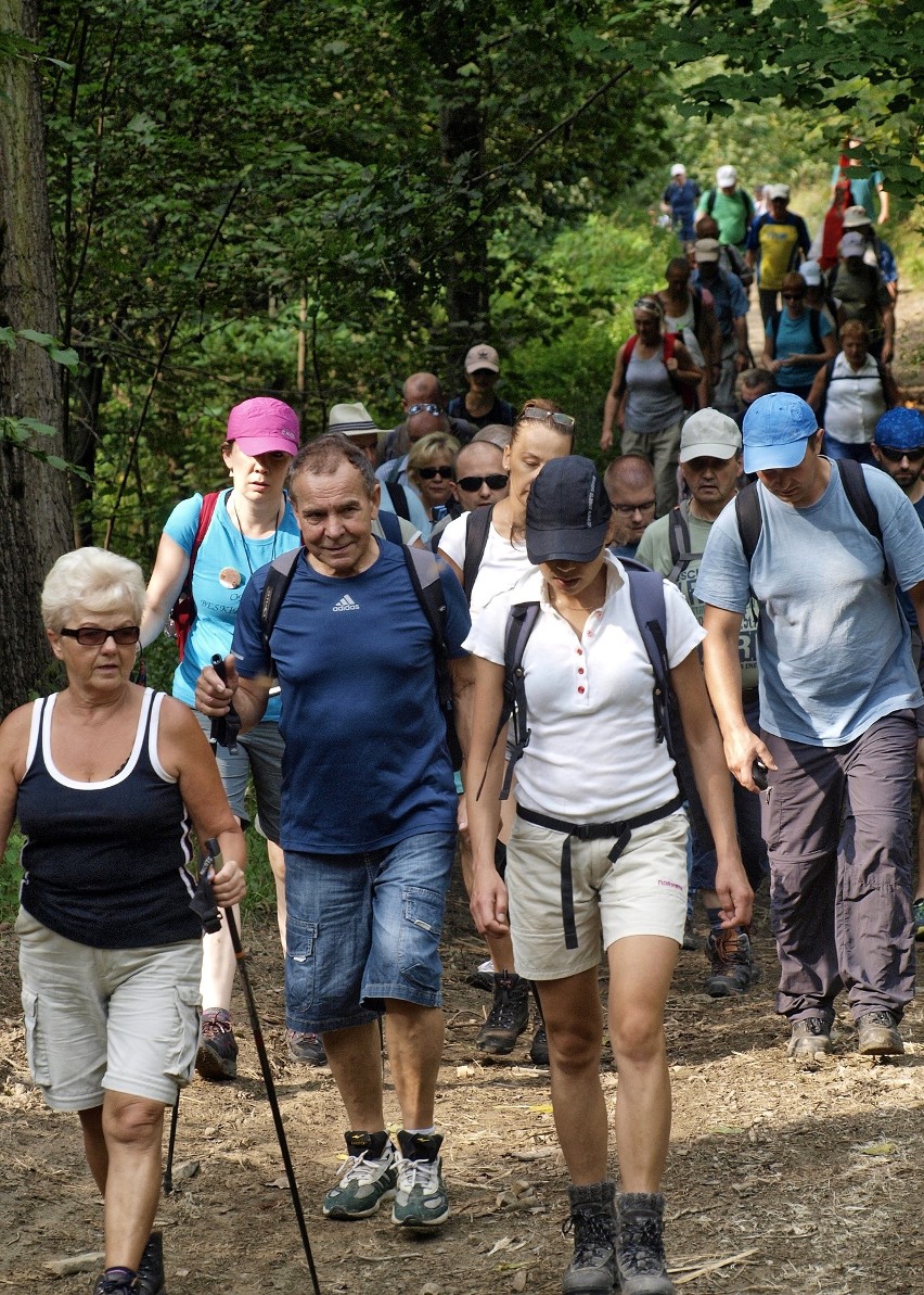 Odkryj Beskid Wyspowy. W niedzielny poranek wspięli się na Szczebel. Bardzo liczną grupę stanowili najmłodsi turyści [ZDJĘCIA]