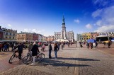 Biegał nago po Rynku Wielkim w Zamościu. Dlaczego? Chciał wygrać skrzynkę piwa