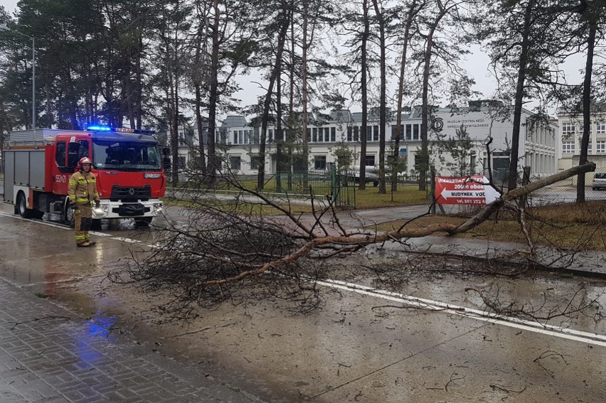 229 interwencji podkarpackich strażaków. Wiatr uszkadzał dachy i przewracał drzewa [ZDJĘCIA]