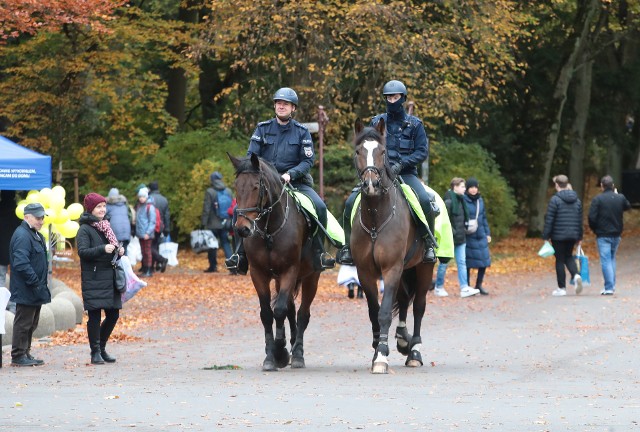 Ales, Kontusz, Karmel i Cynober - cztery policyjne konie pilnują porządku na Cmentarzu Centralnym
