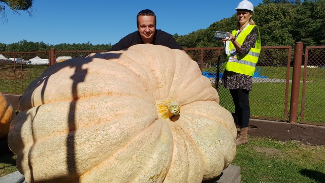 Tak prezentowała się tegoroczna zwyciężczyni - 600 kg "Mia".