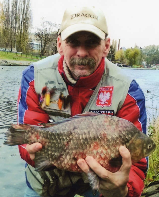 Tego karasia (waga: 1,58 kg, długość: 45 cm)  Marek Koralewski złowił w miejskiej gliniance przy ul. Nadrzecznej