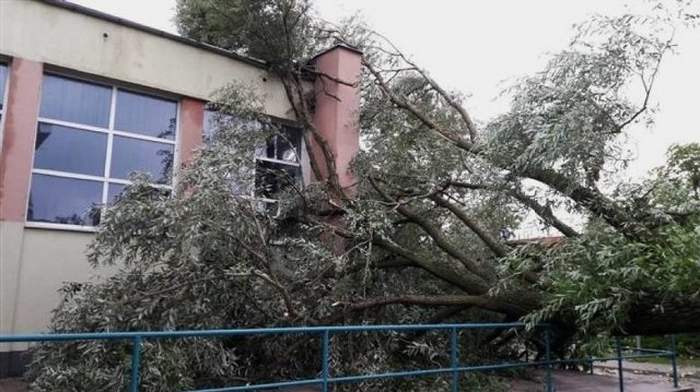 Szczególnie dużo szkód nawałnica wyrządziła w Gnieźnie.