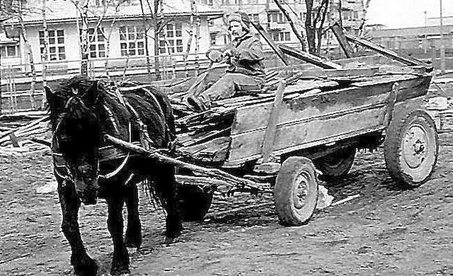 Zdjęcie z początków Rubinkowa II. Kiedy ostatni raz widziano na tym osiedlu wóz i zaprzężonego do niego prawdziwego konia?