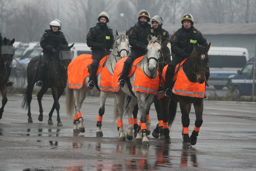 Ćwiczenia oddziałów konnych policji i straży miejskiej [ZDJĘCIA,FILM]