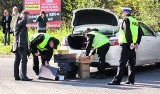 Filmowa przygoda łódzkich celników . Wystąpili w filmie nt. ochrony zagrożonych gatunków zwierząt.