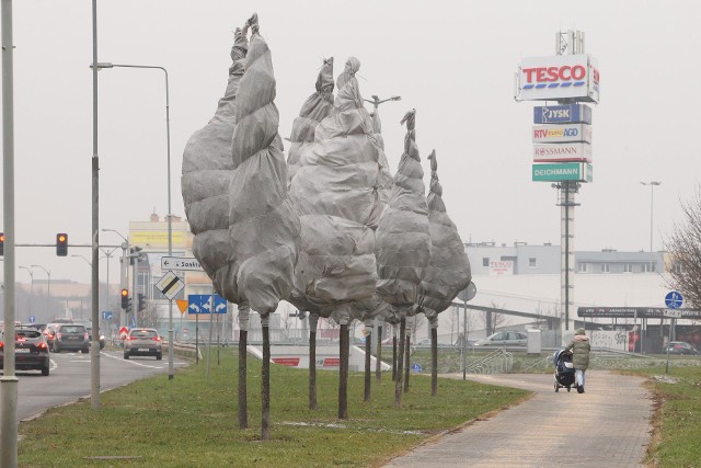 Poznań: Brudna siatka chroni korony drzew? ZDM zaprzecza