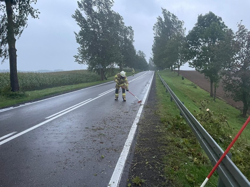 Prawie 30 wyjazdów do powalonych drzew i gałęzi w powiecie...