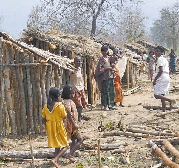 W Indiach wyrzucani z domów chrześcijanie budują prowizoryczne szałasy w dżungli.