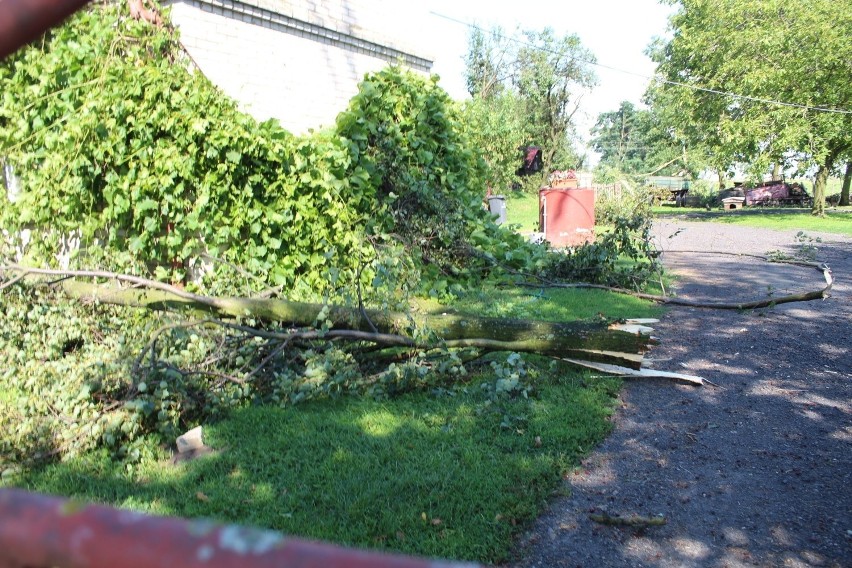 Potężna burza przeszła w Zamościu i w okolicznych gminach. Wiatr przewracał drzewa i budynki, zrywał dachy. Zobacz zdjęcia