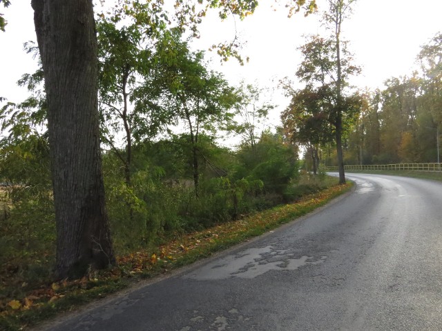 Droga powiatowa na odcinku Brodnica-Zbiczno według radnej Mirosławy Karpowicz wymaga remontu