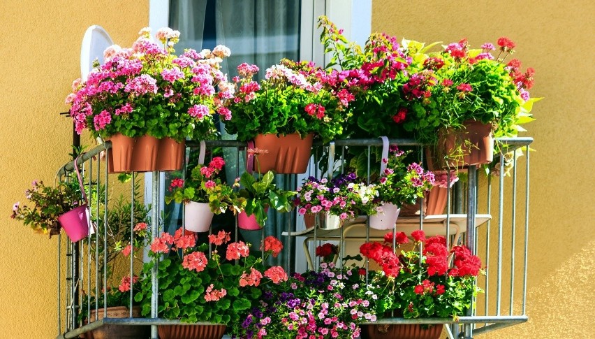 Sadząc kwiaty na balkonie, pomyślmy też o tym, jak będzie...