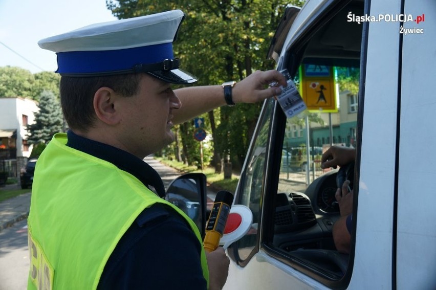 Policjanci z Żywca rozdawali zapachowe zawieszki. To kampania "Przejście oddaj pieszym" ZDJĘCIA