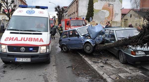 Maluch staranowal drzewo w Przemyślu...