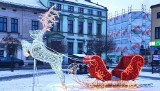 Na placach i ulicach Oświęcimia pojawiły się nowe świąteczne dekoracje. Na Rynku tradycyjnie stanęła choinka. Zdjęcia