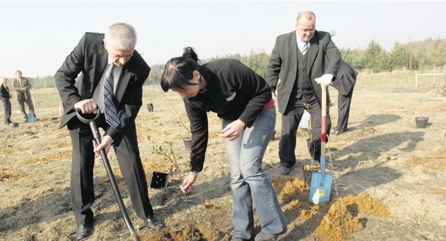 Sadzenie &quot;drzewek szczęścia&quot;. Akcję zainicjowała firma Vattenfall wraz z Lasami Państwowymi, lokalnymi nadleśnictwami oraz Dziennikiem Zachodnim. Posadziliśmy wspólnie już duży las, teraz trzymamy kciuki za Wasze szczęście. Powodzenia w konkursie!