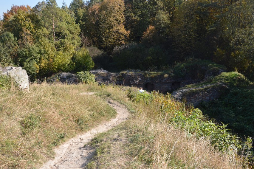 Tarnów. Góra św. Marcina idealnym miejscem na jesienny spacer [ZDJĘCIA]