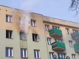 Węgorzewo. Pożar mieszkania przy ul. Grunwaldzkiej. Właściciel został zabrany do szpitala (zdjęcia)