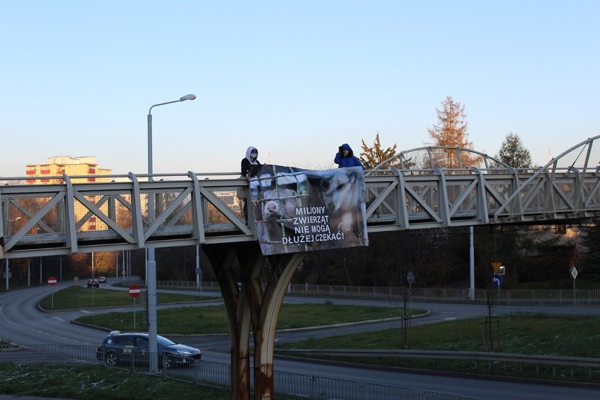 Na wiadukcie przy ul. Filaretów w Lublinie pojawił się baner. Ma przypominać o „piątce dla zwierząt”