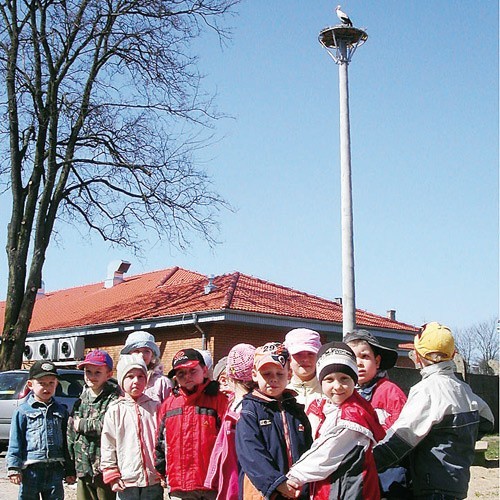 Pięciolatki z Przedszkola przy ul. Obrońców Westerplatte przyszły z wychowawczynią Barbarą Kamińską obejrzeć bociany budujące gniazdo koło sklepu.