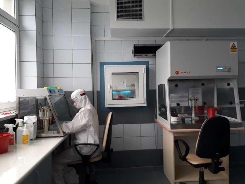Świętokrzyskie Centrum Onkologii w Kielcach uruchomiło własne laboratorium wykrywające koronawirusa [ZDJĘCIA]