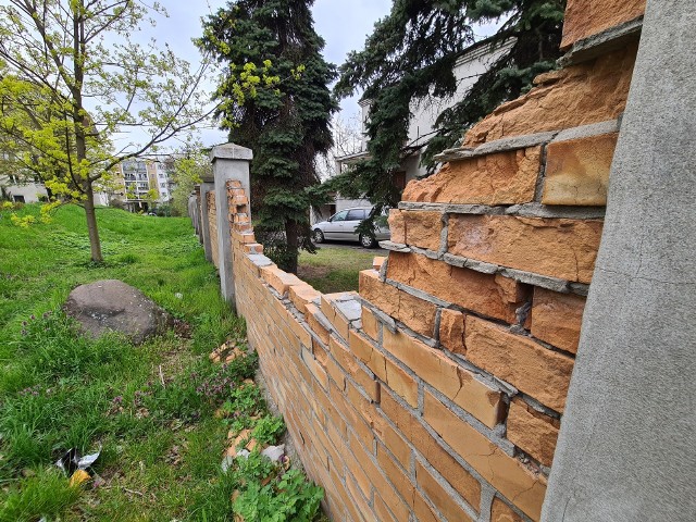 Mur toruńskiego cmentarza żydowskiego można uznać za ścianę  płaczu. Solidny murarz, bądź producent cegieł, widząc w jakim ta konstrukcja jest stanie, z pewnością by zapłakał.
