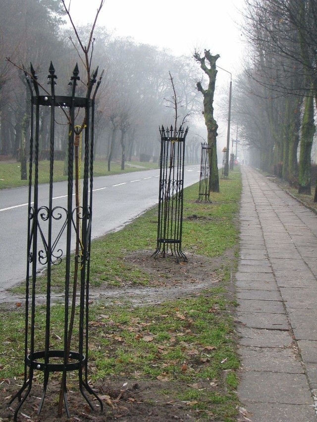 Wandale przyznali się do zniszczenia mienia.