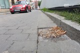 Po rekordowych ulewach w Szczecinie. Problem zatkanych wpustów kanalizacyjnych 