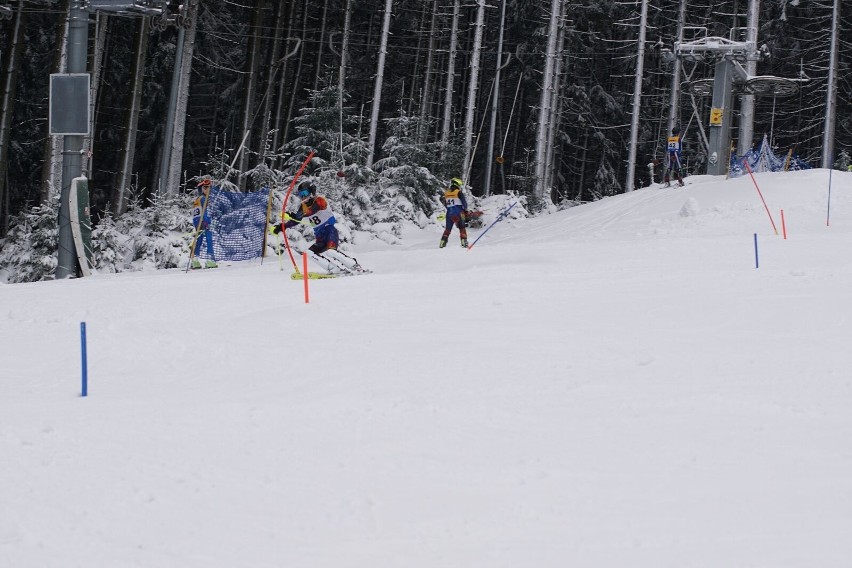 Mistrzostwa WZN w slalomie na Czarnej Górze - 13.01.2017 r.