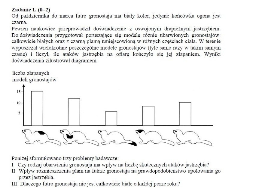 Egzamin gimnazjalny 2013 przyroda. Test z biologii, geografii, fizyki, chemii [ARKUSZE, ODPOWIEDZI]