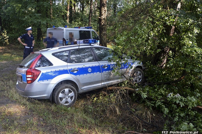 Radiowóz uderzył w drzewo. Ranną policjantkę zabrano helikopterem do szpitala (ZDJĘCIA)