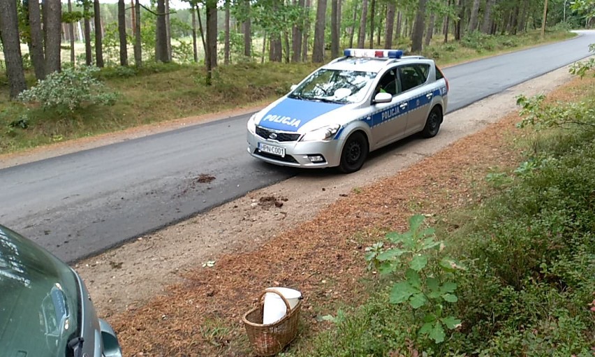 Na drodze prowadzącej z Dębnicy kaszubskiej do Podwilczyna...