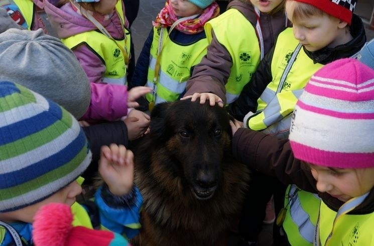 Policja: pies Misiek odszedł na emeryturę 