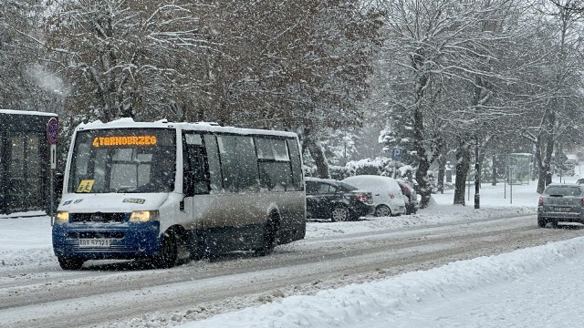 2 grudnia od godziny 17 nie kursują autobusy komunikacji miejskiej w Tarnobrzegu. Na trasę wyjedzie wieczorem tylko "9".