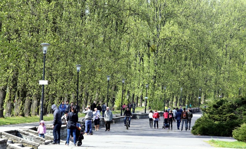 Park Śląski to ulubione miejsce odpoczynku w regionie