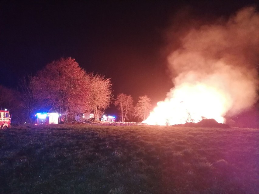 Pożar w gminie Połczyn-Zdrój. Ogień na polu [zdjęcia]
