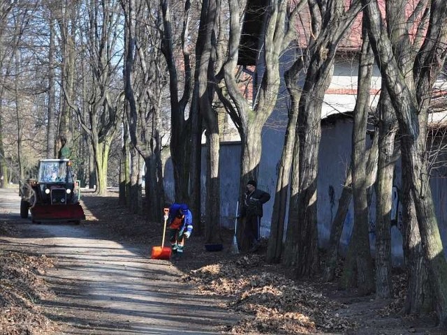 Pracownicy firmy .A.S.A Tarnobrzeg sprzątają park dzikowski w Tarnobrzegu.