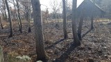 Wypalanie traw. Tylko w kwietniu w powiecie ostrołęckim doszło do prawie 20 takich pożarów
