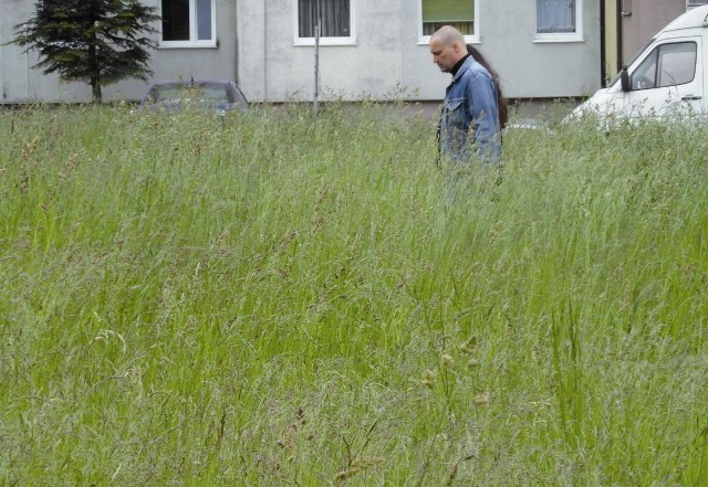 Trawa na placu na osiedlu Niepodległości urosła na wysokość ponad metra. Nie wiadomo jednak, czy i kiedy zostanie skoszona. 