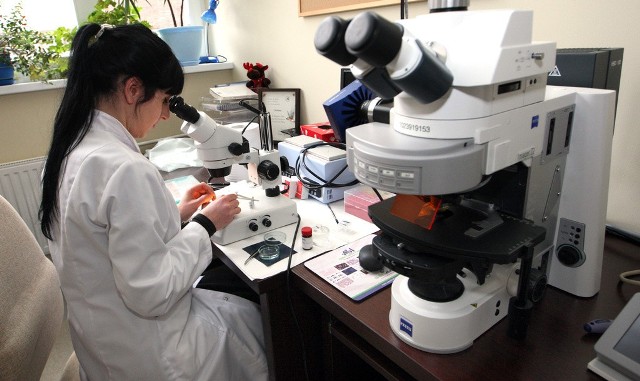 Nowoczesne mikroskopy pozwalają na badania na najwyższym poziomie.